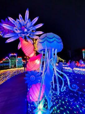 伊豆ぐらんぱる公園に投稿された画像（2022/1/1）