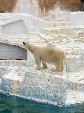 天王寺動物園に投稿された画像（2022/1/1）