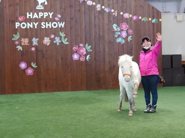 ノーザンホースパークに投稿された画像（2022/1/1）