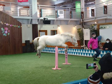 ノーザンホースパークに投稿された画像（2022/1/1）