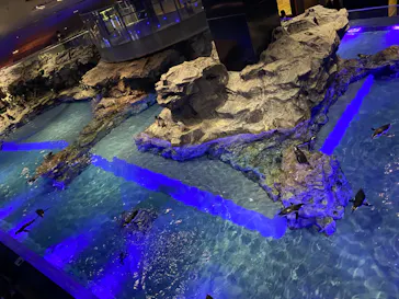 すみだ水族館に投稿された画像（2022/1/1）