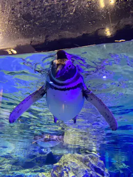 すみだ水族館に投稿された画像（2022/1/1）