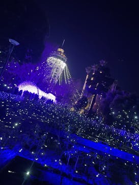 江の島シーキャンドルに投稿された画像（2022/1/1）