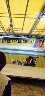 おきなわワールドに投稿された画像（2022/1/1）