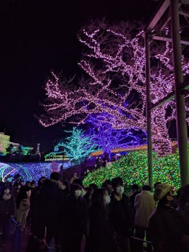 よみうりランド 遊園地に投稿された画像（2022/1/1）