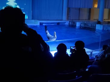 アクアワールド茨城県大洗水族館に投稿された画像（2022/1/1）