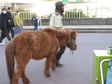 天王寺動物園に投稿された画像（2022/1/1）