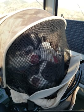 伊豆パノラマパークに投稿された画像（2022/1/1）