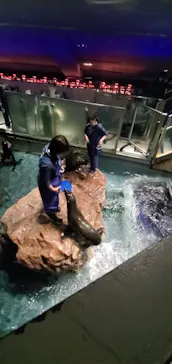 すみだ水族館に投稿された画像（2022/1/1）