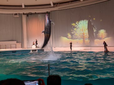 アクアワールド茨城県大洗水族館に投稿された画像（2022/1/1）