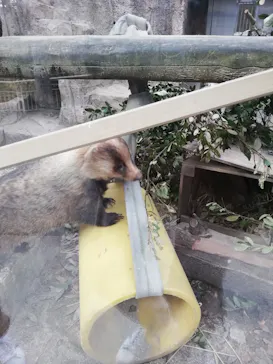 天王寺動物園に投稿された画像（2022/1/1）