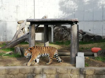 天王寺動物園に投稿された画像（2022/1/1）