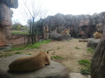 天王寺動物園に投稿された画像（2022/1/1）