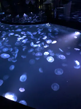 すみだ水族館に投稿された画像（2022/1/1）