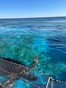 鴨川シーワールドに投稿された画像（2022/1/1）