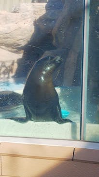 サンシャイン水族館に投稿された画像（2022/1/1）