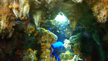 サンシャイン水族館に投稿された画像（2022/1/1）