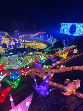 伊豆ぐらんぱる公園に投稿された画像（2022/1/1）