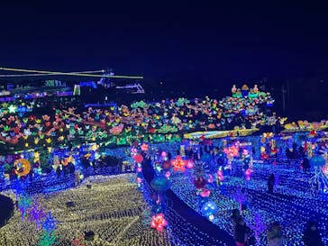 伊豆ぐらんぱる公園に投稿された画像（2022/1/1）