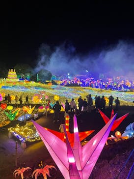 伊豆ぐらんぱる公園に投稿された画像（2022/1/1）