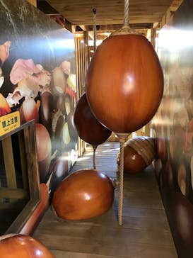 モビリティリゾートもてぎに投稿された画像（2022/1/1）