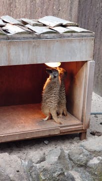 伊豆シャボテン動物公園に投稿された画像（2022/1/1）