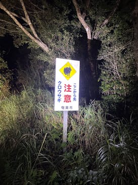 奄美ナイトツアーサービスに投稿された画像（2022/1/1）