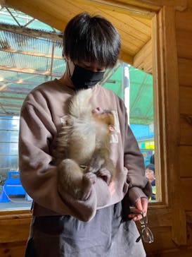 おさるランド＆アニタウン　日光さる軍団劇場に投稿された画像（2022/1/1）