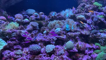 マクセル アクアパーク品川に投稿された画像（2022/1/1）