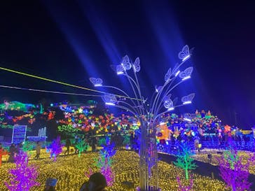 伊豆ぐらんぱる公園に投稿された画像（2022/1/1）