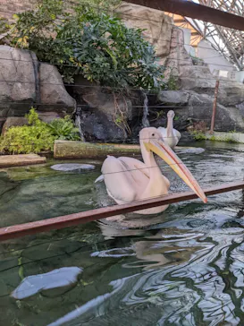 横浜・八景島シーパラダイスに投稿された画像（2022/1/1）