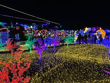 伊豆ぐらんぱる公園に投稿された画像（2022/1/2）