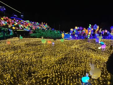 伊豆ぐらんぱる公園に投稿された画像（2022/1/2）