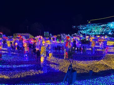 伊豆ぐらんぱる公園に投稿された画像（2022/1/2）