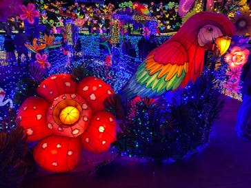 伊豆ぐらんぱる公園に投稿された画像（2022/1/2）