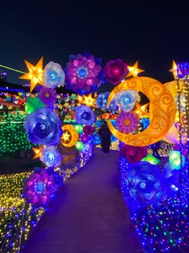 伊豆ぐらんぱる公園に投稿された画像（2022/1/2）