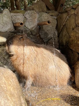 長崎バイオパークに投稿された画像（2022/1/2）