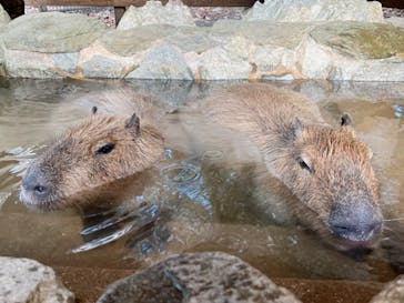 長崎バイオパークに投稿された画像（2022/1/2）
