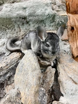 長崎バイオパークに投稿された画像（2022/1/2）