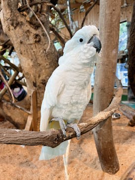 長崎バイオパークに投稿された画像（2022/1/2）