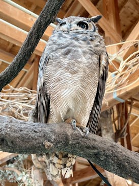 長崎バイオパークに投稿された画像（2022/1/2）