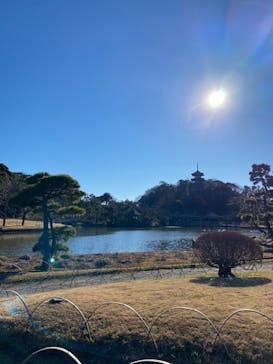 三溪園に投稿された画像（2022/1/2）