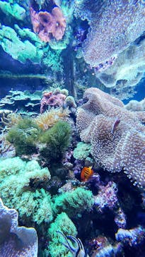 大分マリーンパレス水族館 「うみたまご」に投稿された画像（2022/1/2）