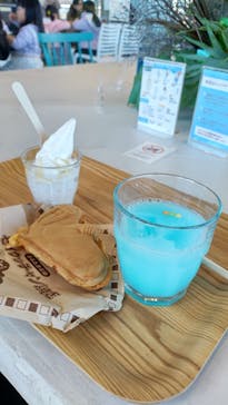 大分マリーンパレス水族館 「うみたまご」に投稿された画像（2022/1/2）