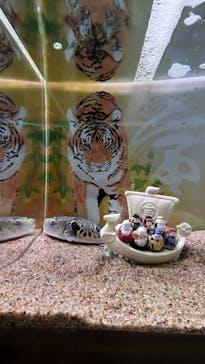 大分マリーンパレス水族館 「うみたまご」に投稿された画像（2022/1/2）