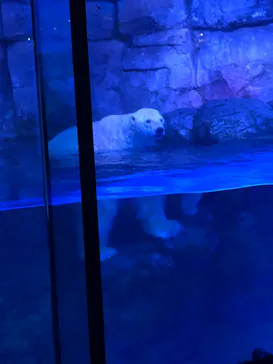 横浜・八景島シーパラダイスに投稿された画像（2022/1/2）