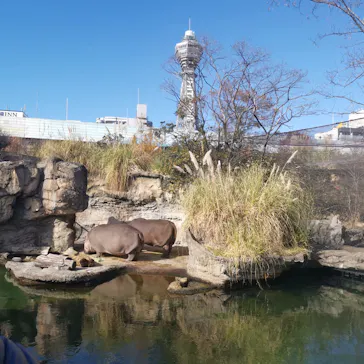 天王寺動物園に投稿された画像（2022/1/2）
