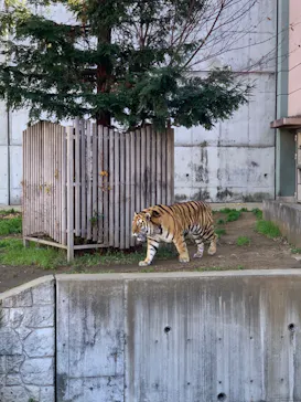 天王寺動物園に投稿された画像（2022/1/2）