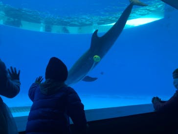 九十九島水族館海きららに投稿された画像（2022/1/2）