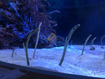 名古屋港水族館に投稿された画像（2022/1/2）